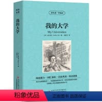 [中英互译]我的大学 [正版]中英双语老人与海书中英文双语名著读物英汉对照互译英语小说海明威原著 读名著学英语 高中生初
