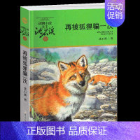 再被狐狸骗一次 [正版]兵猴传奇沈石溪小学四年级五年级全集全套书浙江少年儿童出版社非注音版完整版动物小说大王品藏书系小学