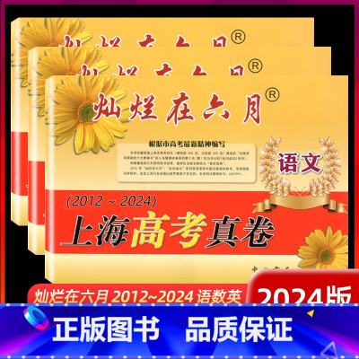 语文 [正版]2012-2024灿烂在六月.上海高考真卷.语文.数学.英语