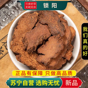 甄选锁阳100克新货煮水泡茶地毛球锈铁棒正品干货无硫另售肉苁蓉巴戟天