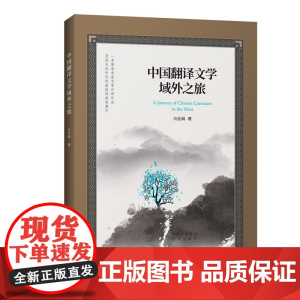 中国翻译文学域外之旅