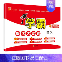 语文(人教版) 二年级下 [正版]2024秋新版小学学霸提优大试卷一年级二年级三四五六年级上下册语文人教数学苏教英语译林