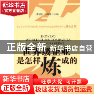 正版 世界级企业是怎样炼成的:全球视野下世界级企业最佳实践研究