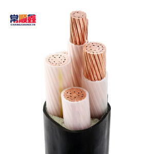 常顺鑫 低压铜芯电缆ZC-YJV3×240+1×120 米