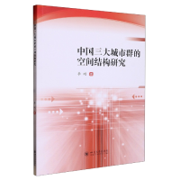 音像中国三大城市群的空间结构研究李刚
