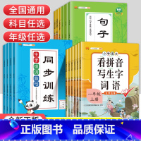 单本]看拼音写词语 五年级上 [正版]看拼音写词语一二三四五六年级上册下册小学语文拼音拼读同步训练生字注音组词造句仿写句