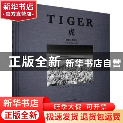 正版 虎 高建设著 中国摄影出版社 9787517907541 书籍