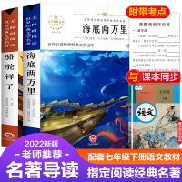 音像老舍骆驼祥子+海底两万里(共2册)世界经典文学名著老舍