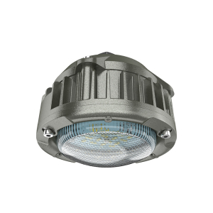 欧辉照明 (OHUIZAOMIN) LED防爆灯 OHBF9185 10W DC24V 台 灰色