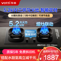 华帝(vatti)燃气灶家用5.2kW 嵌入式定时猛火灶 可调节免扩孔70%热效率 烟灶联动灶具i10309D(天然气)