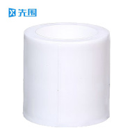 先围 PPR直通 等径20mm 个