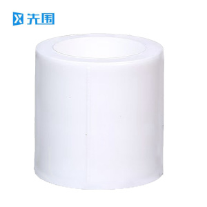 先围 PPR直通 等径20mm 个