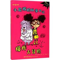 正版新书]爆炸大冒险艾米丽·盖尔9787533477837