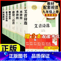 [人教版7册]九年级上册名著 [正版]儒林外史原着吴敬梓九年级下册必读课外书人民教育出版社初三名著无障碍阅读语文书目完整