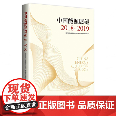 中国能源展望2018—2019