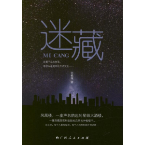 醉染图书迷藏9787219082171