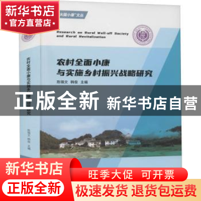正版 农村全面小康与实施乡村振兴战略研究/大国小康文丛 陈锡文,