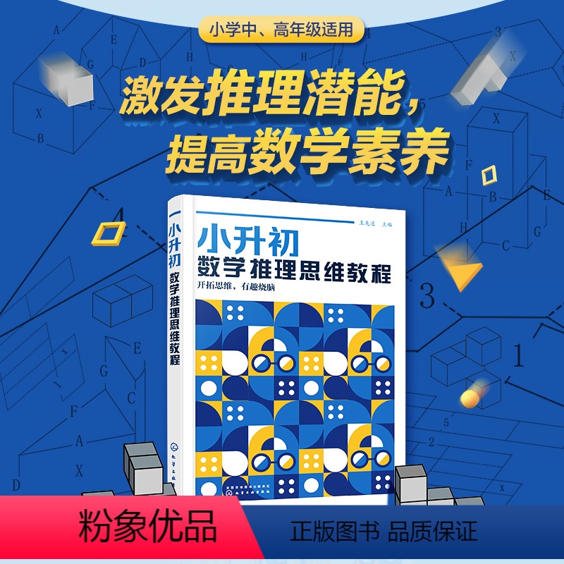 [正版]小升初数学推理思维教程 8-13岁小学生四五六年级小升初中考数学思维教程高思数学导引姊妹篇新概念奥林匹克 图形