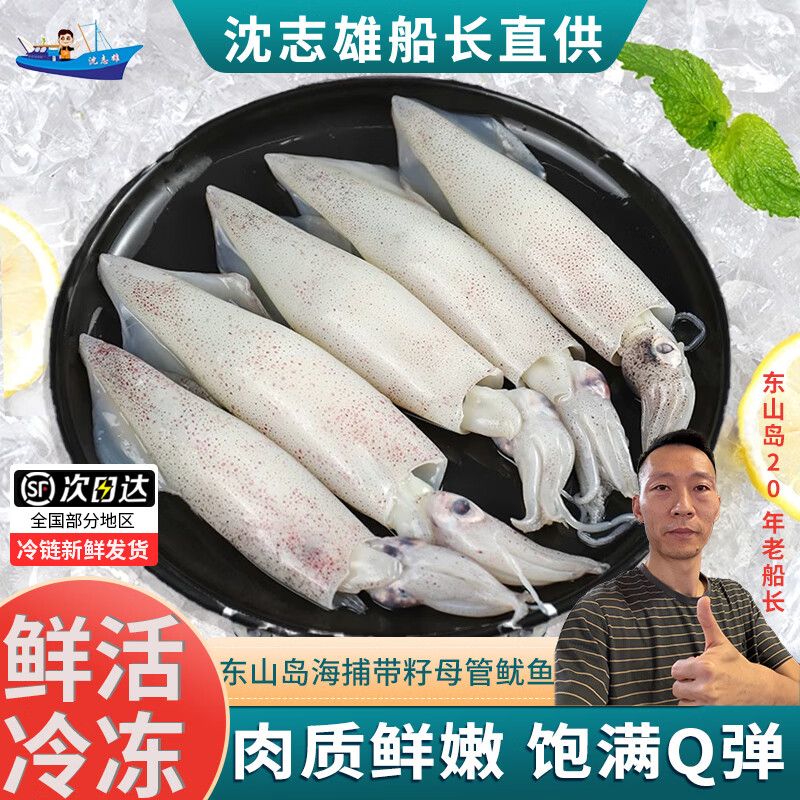 [国产][已通过核酸检测]沈志雄船长 东山岛海鲜有籽带膏小管鱿鱼笔管鱼4-7个/盒 1盒净重400g 拍2份更实惠