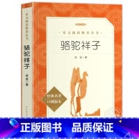 [人民文学]骆驼祥子 [正版]五年级下册课外阅读书籍 人民文学出版社小学生版原著完整无删减 俗世奇人冯骥才全本小兵张嘎徐