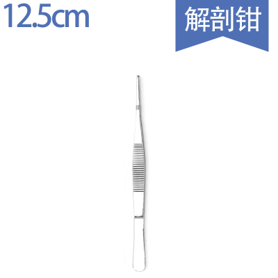 医用镊子手术不锈钢圆头有齿解剖镊组织镊眼科镊枪状镊 12.5cm解剖镊