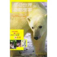正版新书]感动世界的动物故事(加)西顿 著,何江 译9787561330