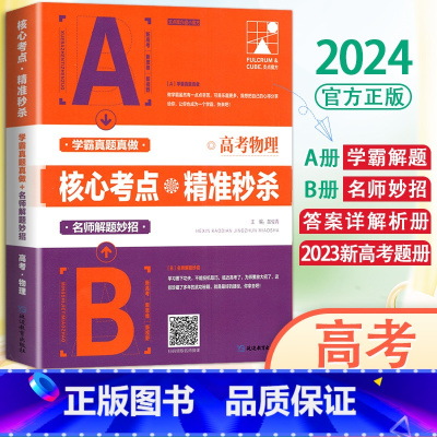 物理 高中通用 [正版]2024支点魔方核心考点精准新高考数学物理化学生物解题技巧题型分类专练学霸笔记高中必刷题一二