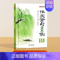 [覆盖99%写作题型]作文金句800例 [正版]2024新版时光学词穷救星成语大百科大语文素材 全国通用 好词好句好段