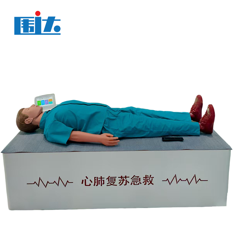 围达 心肺复苏急救模拟设备 160*50*180cm 台