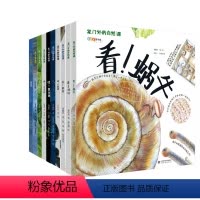 家门外的自然课(全10册) [正版]家门外的自然课全10册平装版自然科学艺术百科全书一套写给中国孩子的自然科普百科书看蜗