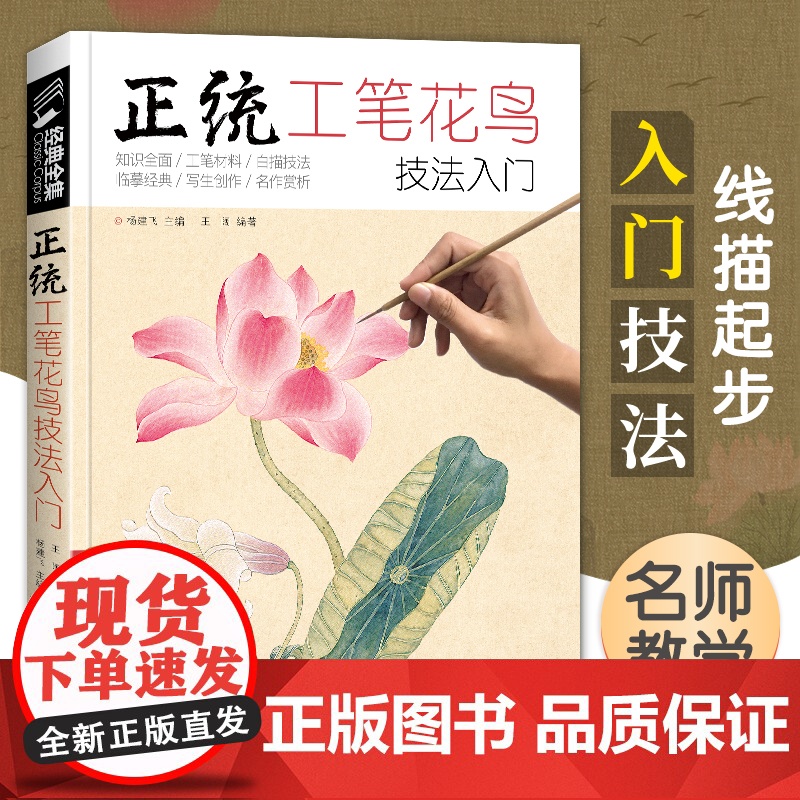 经典全集 正统工笔花鸟技法入门基础教程书籍中国工笔画稿白描勾线牡丹上色涂色宋画临摹册初自学者名家手绘教材 杨建飞主编