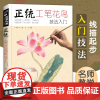 经典全集 正统工笔花鸟技法入门基础教程书籍中国工笔画稿白描勾线牡丹上色涂色宋画临摹册初自学者名家手绘教材 杨建飞主编