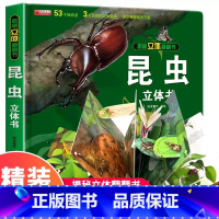 [精装礼盒]昆虫立体书 [正版]我们的中国立体书 儿童3d立体书科普百科绘本故事书6岁以上8-10-12岁翻翻书 少儿早
