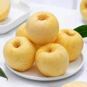 鲜贝达维纳斯黄金苹果6枚礼盒装特大果[单果80-85mm][顺丰]