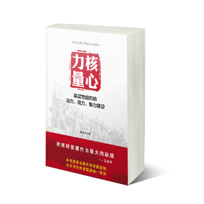 正版新书]核心力量:基层党组织的动力、能力、魅力建设郭玉良97