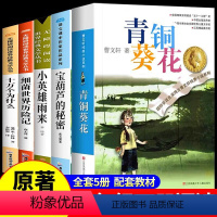 四年级必读+课外经典.全5册 [正版]青铜葵花曹文轩四年级必读课外书小英雄雨来宝葫芦的秘密十万个为什么细菌世界历险记人教