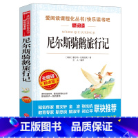 [尼尔斯骑鹅旅行记]六年级下册 [正版]3本24元 鲁滨逊漂流记 小学生版 六年级下册经典书目三四五年级课外阅读书籍原著