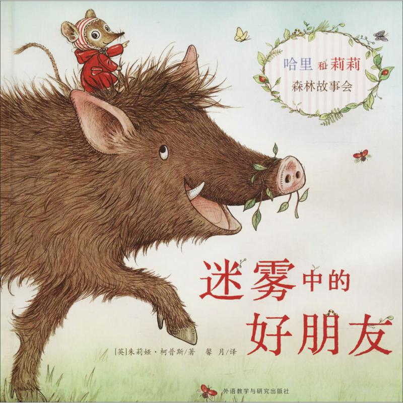 正版新书]迷雾中的好朋友(英)朱莉娅·柯普斯(Julia Copus) 著;馨