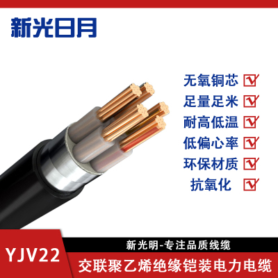 新光日月阻燃交联聚乙烯绝缘铠装电力电缆ZC-YJV22 3×2.5mm²/米