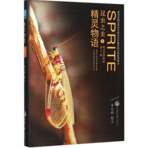 [M]昆虫之美-9787562493860