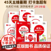红逗号45天暑假伴学计划二升三暑假衔接教材语文数学二年级下册暑假作业练习册全套升三年级人教版小学口算阅读理解下学期人教2