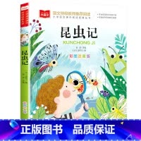昆虫记 [正版]大林和小林二年级三年级书注音版图书张天翼著一年级四年级小学生必读课外阅读书籍带拼音的儿童读物6-7-8-