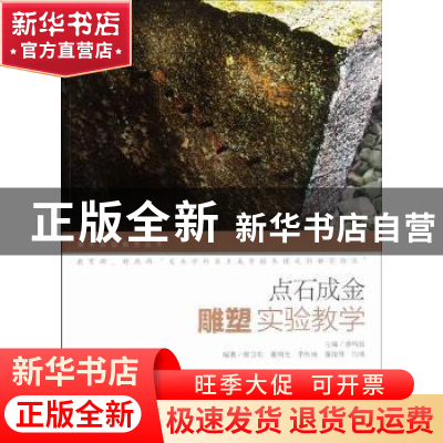 正版 点石成金:雕塑实验教学 唐鸣岳主编 人民美术出版社 9787102