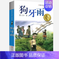 狗牙雨 [正版]野风车全套曹文轩纯美小说系列 初中小学生课外阅读书籍三四五六年级经典书目江苏凤凰少年儿童出版社安徒生儿童