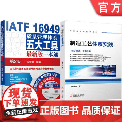 套装 制造工艺体系实践 IATF 16949质量管理体系五大工具最新版一本通 第2版 套装共2册 控制计划 FMEA