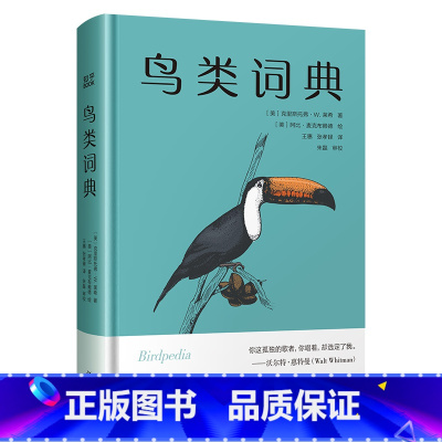 鸟类词典 [正版]鸟类词典 [美] 克里斯托弗·W. 莱希 著,[美] 阿比·麦克布赖德 绘 普林斯顿博物小词典系