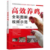 [N]高效养鸡全彩图解+视频示范/畜禽高效养殖全彩图解+视频示范丛书-9787122394514