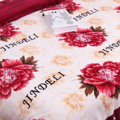 SleepyBear法兰绒被套单件珊瑚绒被套加密保暖单双人双面加绒冬季保暖速热