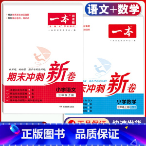 3年级上册 语文+数学 期末冲刺新卷 小学通用 [正版]小学期末冲刺新卷语文数学一年级二年级三年级上册下册四五六年级人教