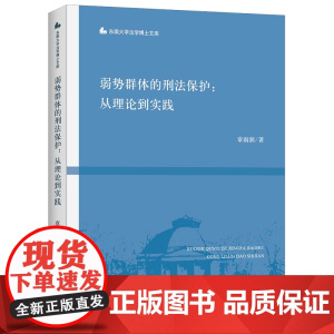 弱势群体的刑法保护 从理论到实践 法律出版社